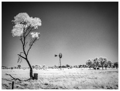 Outback Scene, NT